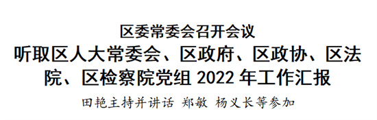 院党组2022年工作情况汇报,区人大常委会主任郑敏,区委副书记杨义长